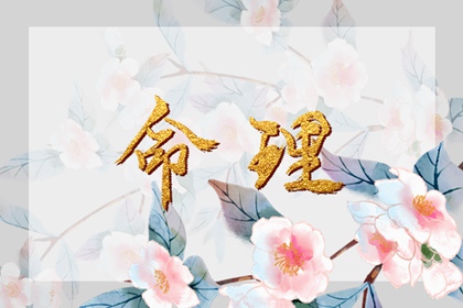 日历查询 日历表查询 日历2026年查询